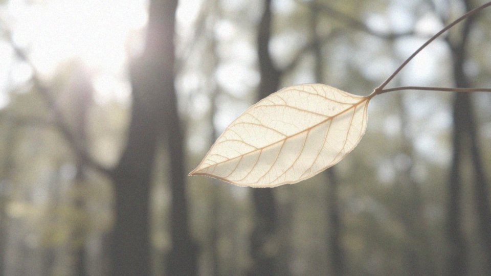 Cienka skóra po sterydach – przyczyny i pielęgnacja