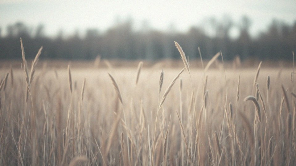 Sen o poronieniu w ciąży – co oznacza i jak interpretować?